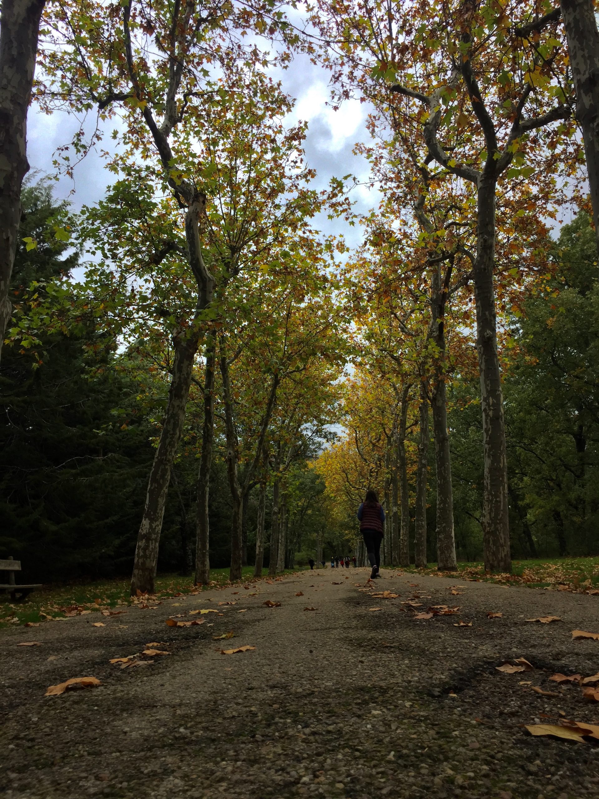 Reflexión del Evangelio del 22 de septiembre de 2022