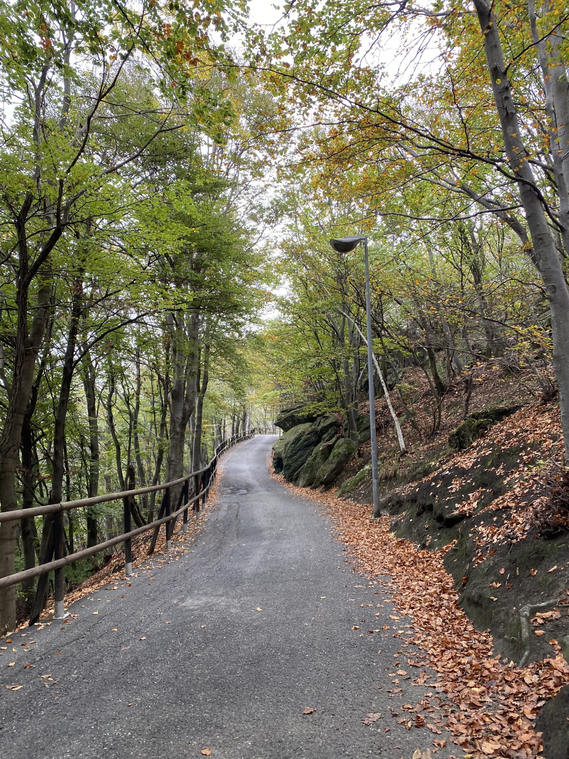 Reflexión del Evangelio del 23 de abril de 2023